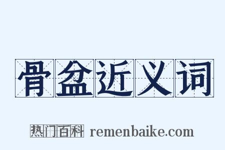 骨盆近义词是什么意思的图片